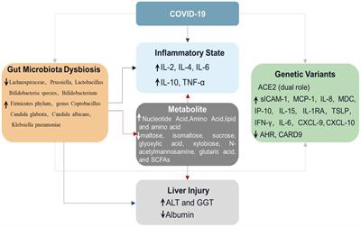 The triangle relationship between human genome, gut microbiome, and COVID-19: opening of a Pandora’s box